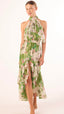 Aneva Dress