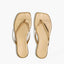 Square Toe Lily