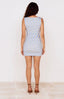 Sancia Mesh Mini Dress