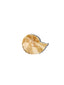 Hand-painted Spiral Shell Claw Hair Clip